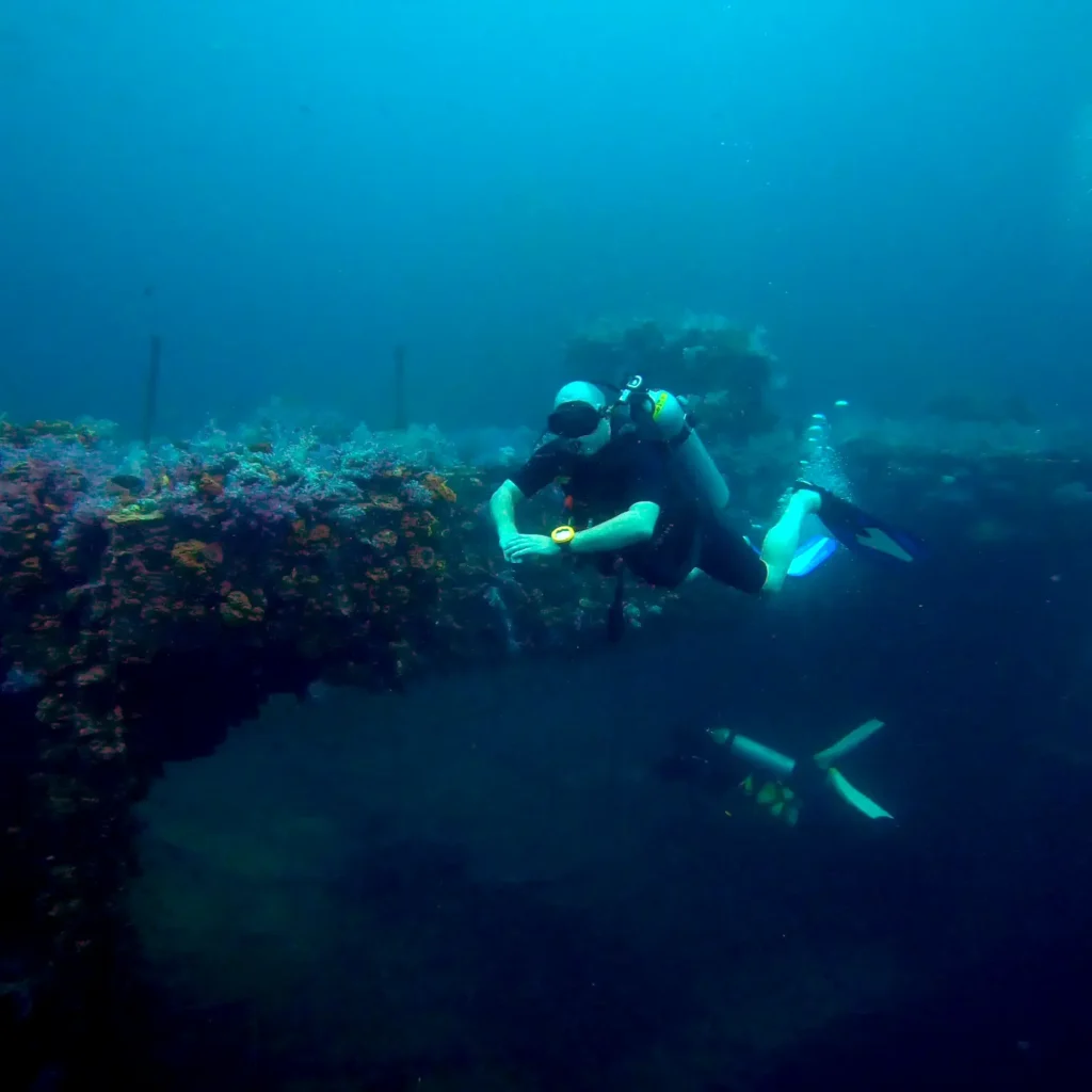 Phuket diving King Cruiser Wreck