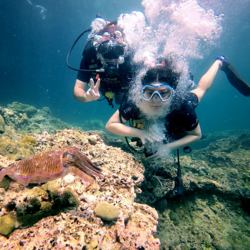 Phuket diving Phi Phi Islands