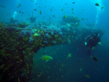 Phuket Advanced Dives King Cruiser Wreck