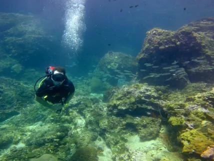 Phuket Advanced Dives Koh Doc Mai