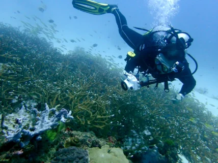 PADI Photography Adventure Dive Phuket