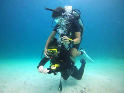 Padi Rescue Diver Course Patong Phuket